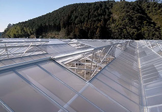 Aluminum-Gutter-Film-Greenhouse-11