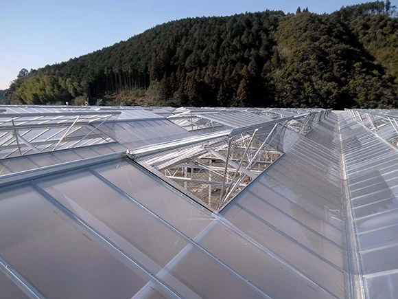 Aluminum Gutter Film Greenhouse