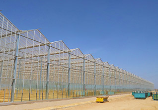Aluminum-Gutter-Glass-Greenhouse-11