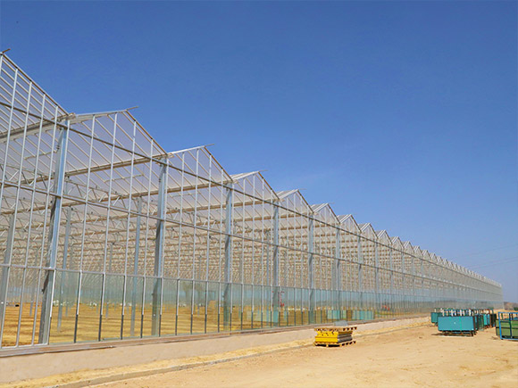 Aluminum Gutter Glass Greenhouse