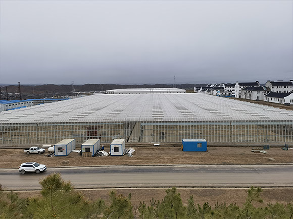 Aluminum Gutter Glass Greenhouse