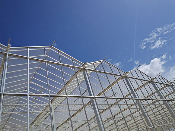 Aluminum Gutter Glass Greenhouse