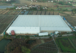 Glass&Sandwich-Panel-Greenhouse-10