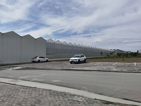 Glass&Sandwich Panel Greenhouse