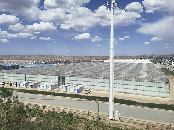 Glass&Sandwich Panel Greenhouse