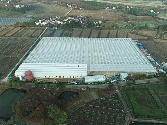 Glass&Sandwich Panel Greenhouse