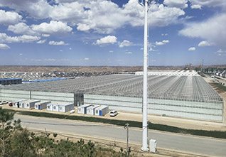 Glass&Sandwich-Panel-Greenhouse-8