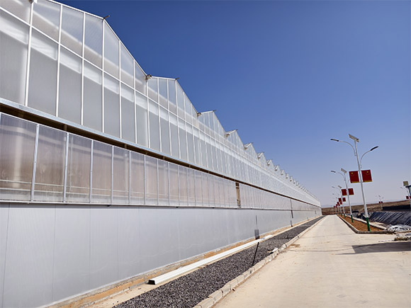 Semi Closed Greenhouse