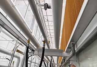 Semi-Closed-Greenhouse-10