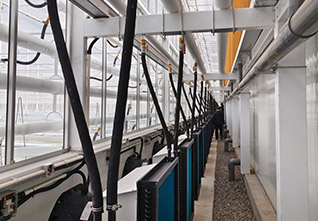Semi-Closed-Greenhouse-11