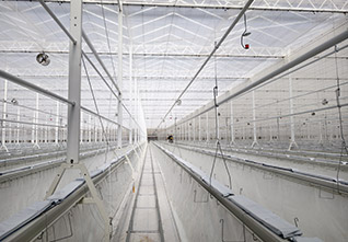 Semi-Closed-Greenhouse-12