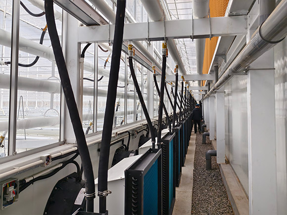 Semi Closed Greenhouse