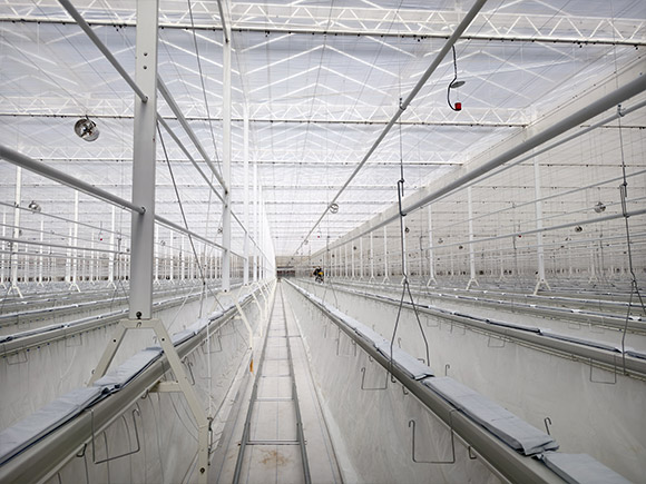 Semi Closed Greenhouse