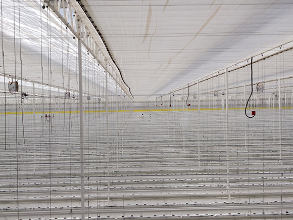 Semi Closed Greenhouse