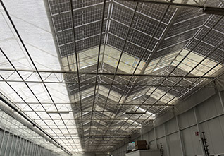 Solar-Panel-Glass-Greenhouse-13
