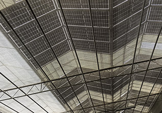 Solar-Panel-Glass-Greenhouse-14