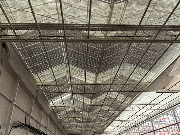 Solar Panel Glass Greenhouse
