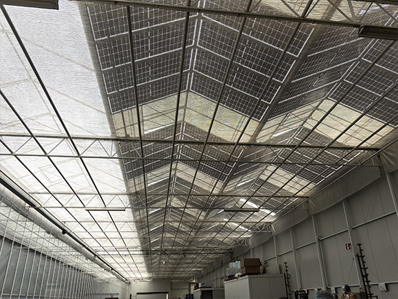 Solar Panel Glass Greenhouse