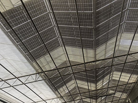 Solar Panel Glass Greenhouse