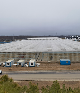 Lanzhou New Area Modern Agricultural Expo Park Project