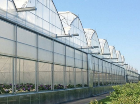 Breaking the Deadlock in Greenhouse Agriculture: Reshaping Profitability Models through Technology Empowerment and Scientific Planning