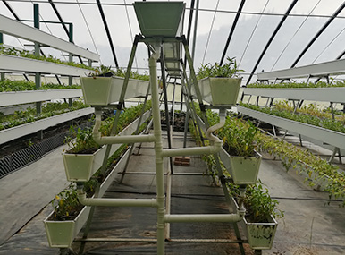 A-frame Vertical Cultivation Rack