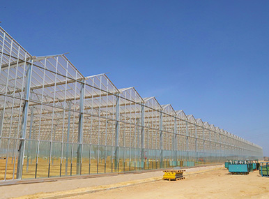 Aluminum Gutter Glass Greenhouse