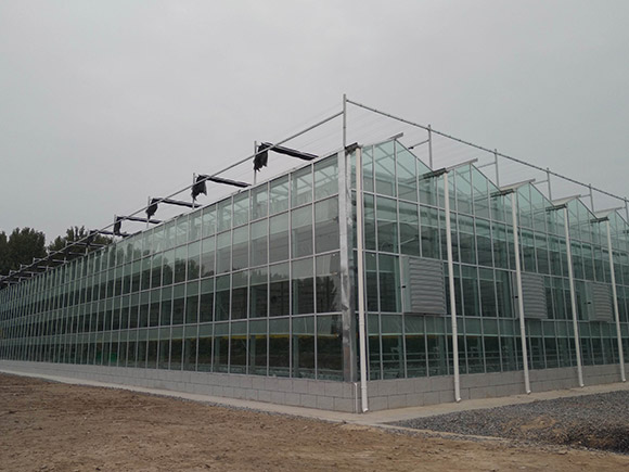 Aluminum Profiles for Glass Greenhouse