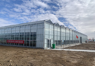 Aluminum-Profiles-for-Glass-Greenhouse-14