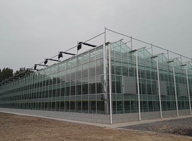 Aluminum Profiles for Glass Greenhouse