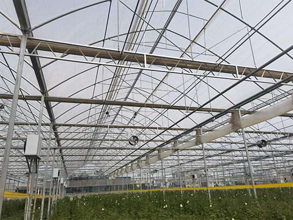Circulation Fan Ventilation System