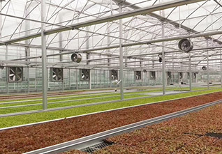 Circulation-Fan-Ventilation-System-12