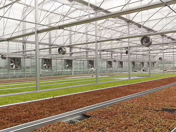 Circulation Fan Ventilation System
