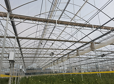 Circulation Fan Ventilation System