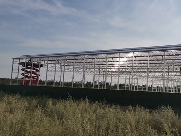 Custom 16mm PC Sheet Greenhouse