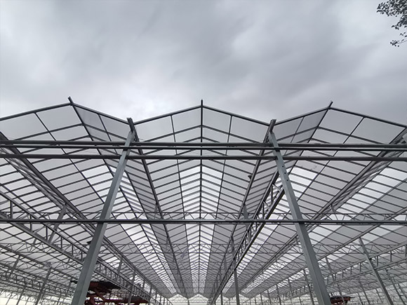 Custom 16mm PC Sheet Greenhouse