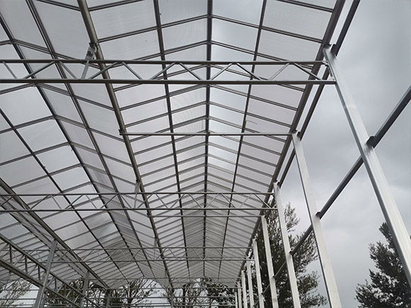 Custom 16mm PC Sheet Greenhouse