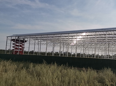 Custom 16mm PC Sheet Greenhouse