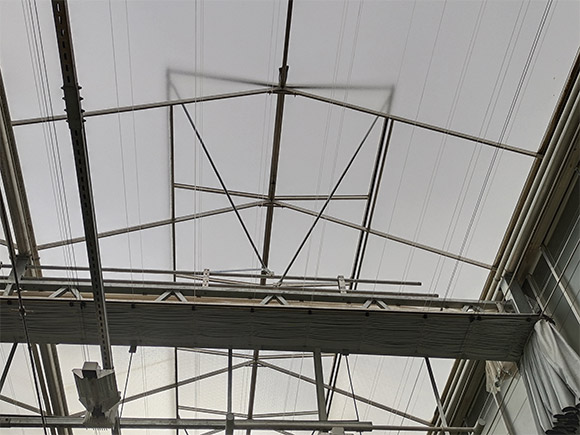 Double Open Window Greenhouse