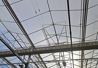 Double-open-window-Greenhouse-12
