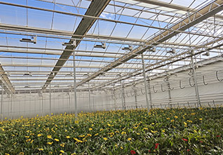 Double-open-window-Greenhouse-14