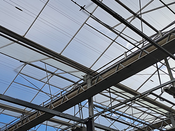 Double Open Window Greenhouse