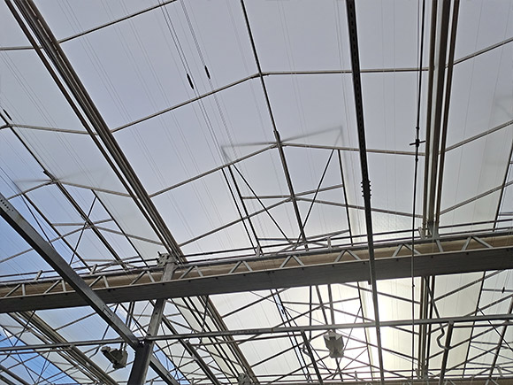 Double Open Window Greenhouse
