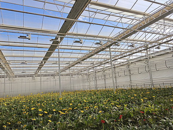 Double Open Window Greenhouse