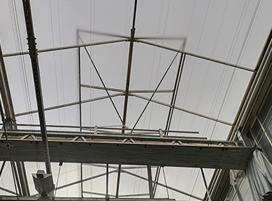 Double Open Window Greenhouse