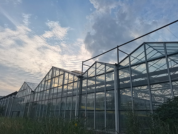 Ecological Restaurant Greenhouse