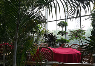 Ecological-Restaurant-Greenhouse-13