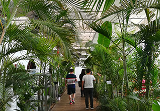Ecological-Restaurant-Greenhouse-14