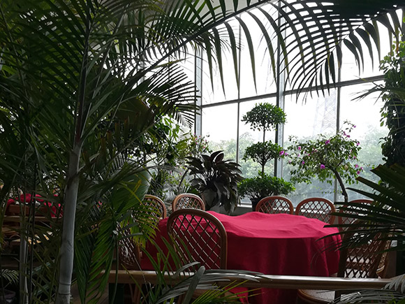 Ecological Restaurant Greenhouse