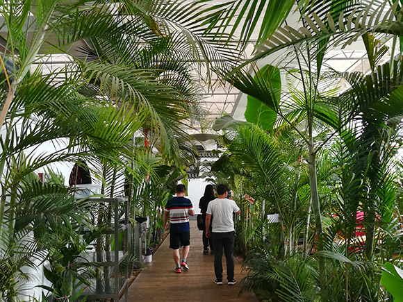 Ecological Restaurant Greenhouse